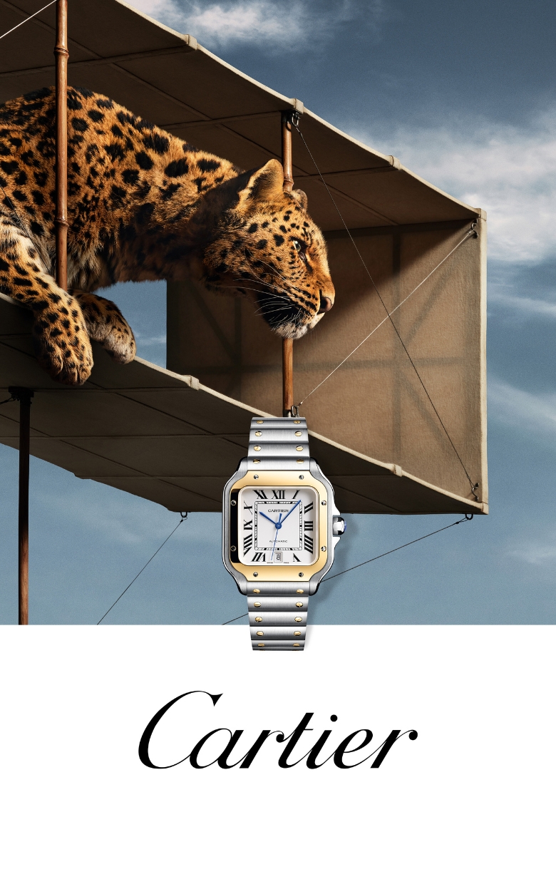 Cartier Website Banner 270825