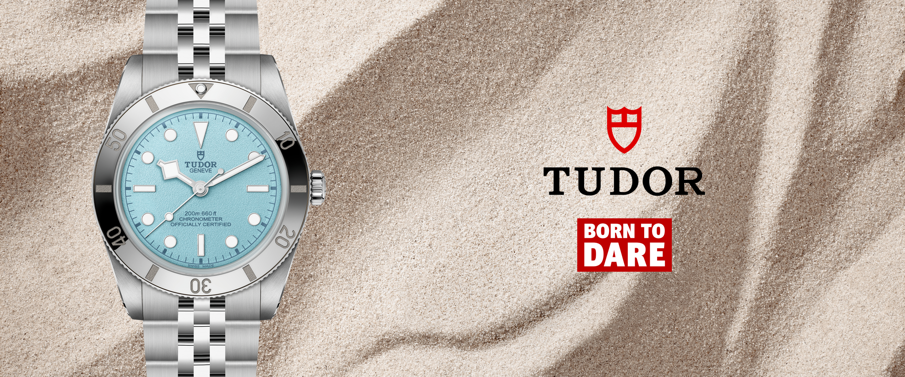 Tudor Banner (11)