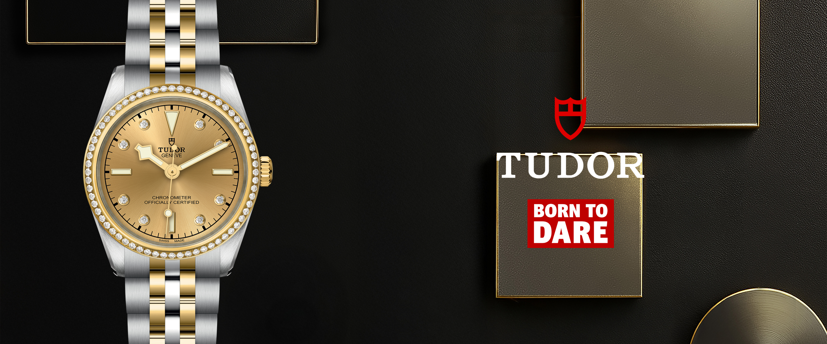 Tudor Banner (19)