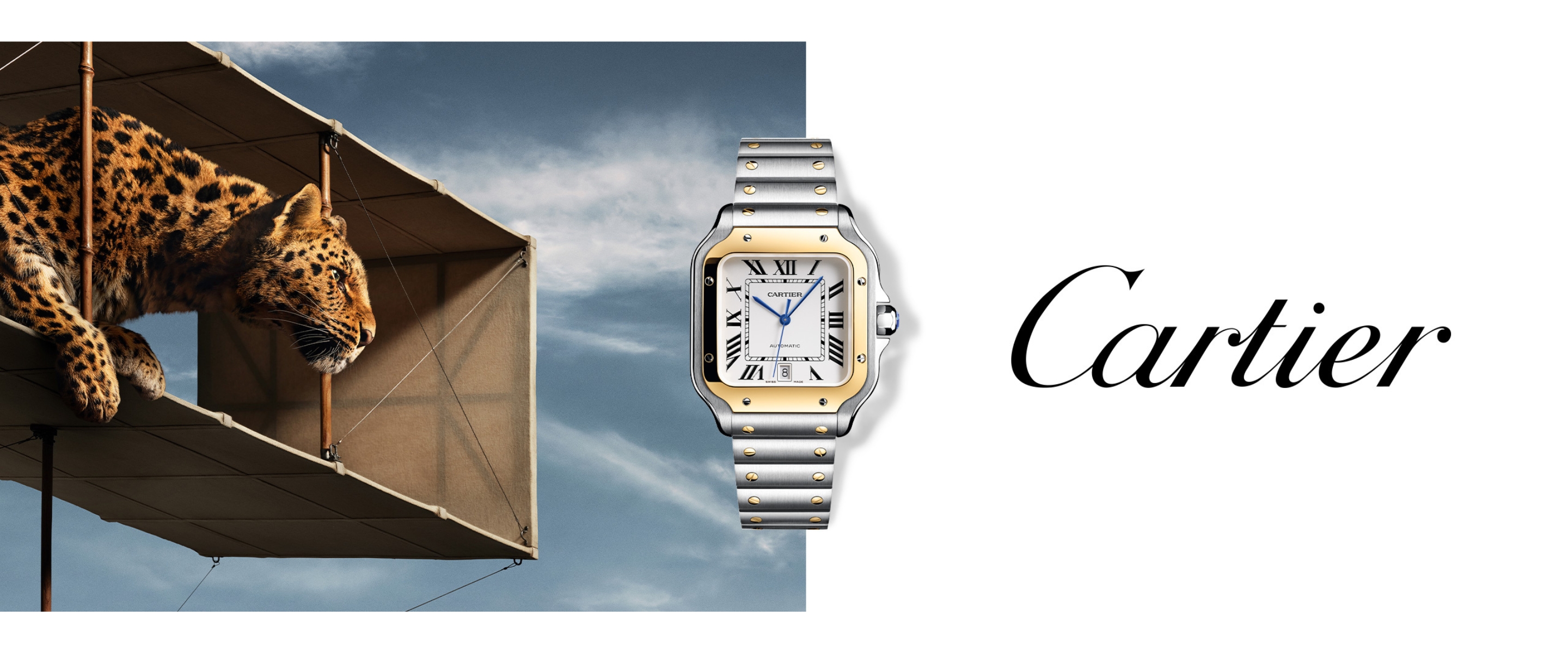 Cartier Website Banner 270825