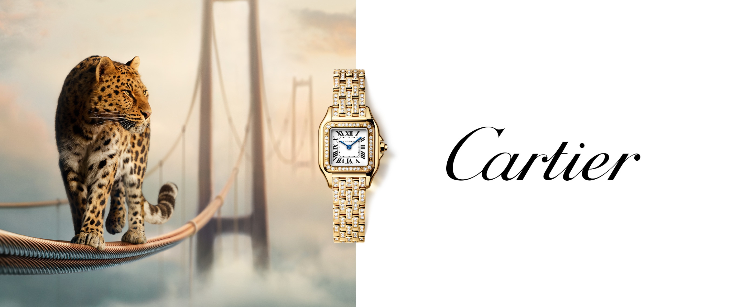 Website Banner 2880X1200